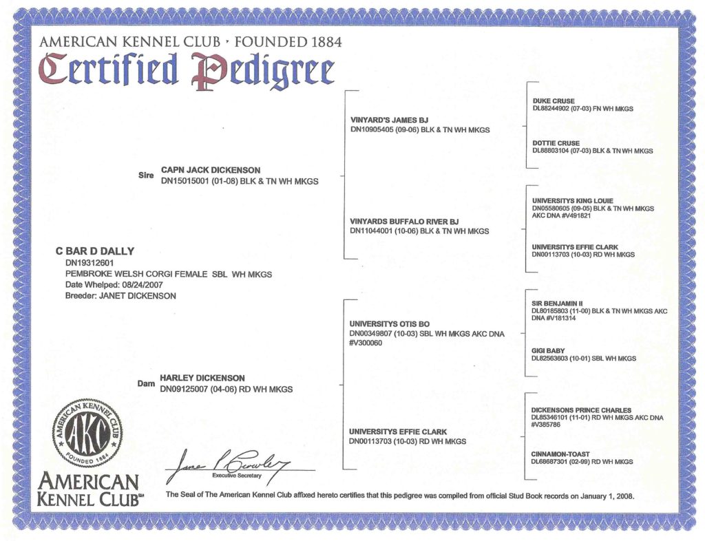 Latti AKC Certified Pedigree