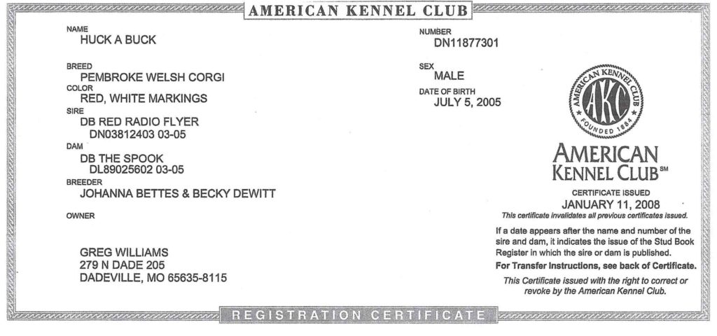 Huck A Buck AKC Registration Certificate
