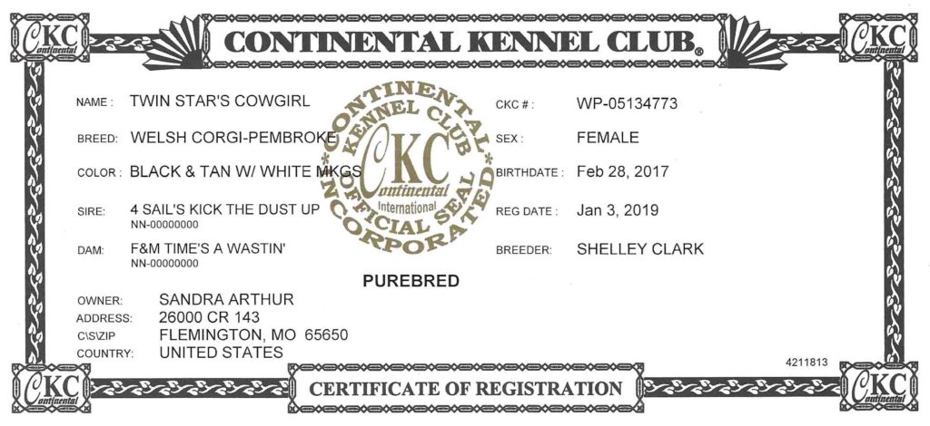 Cowgirl CKC Certificate of Registration