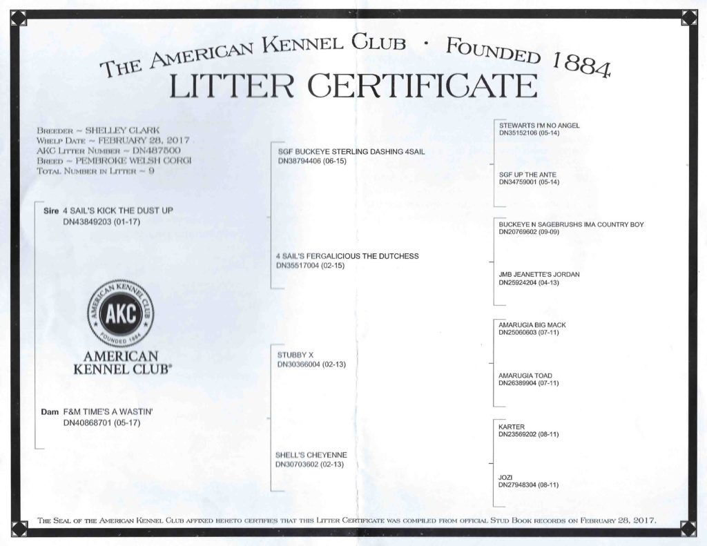 Cowgirl AKC Litter Certificate