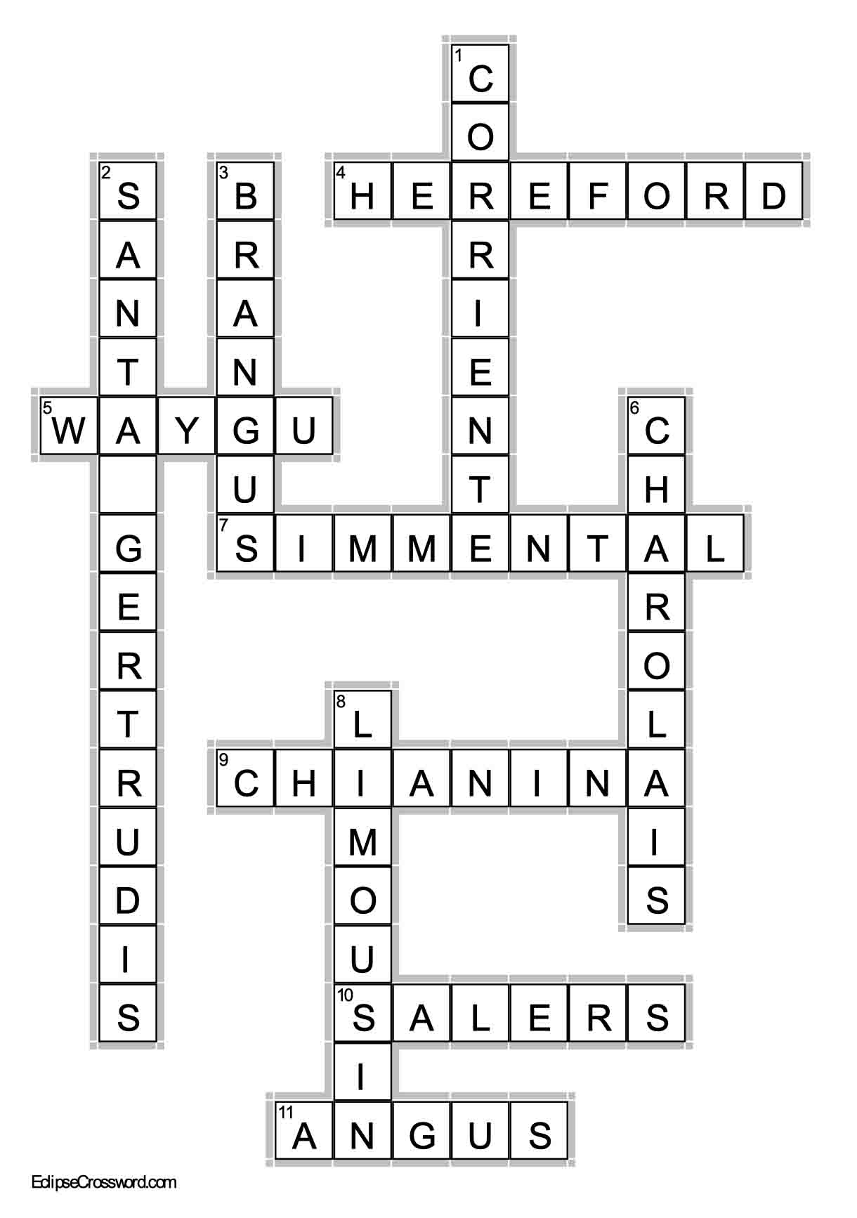 Answer Key for Cattle Breeds Crossword Puzzle