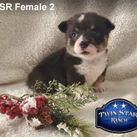 TSR Female 2