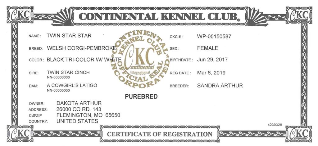 Star CKC Certificate of Registration