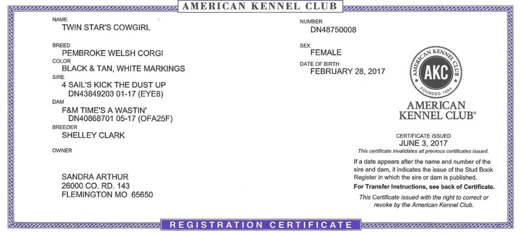 Cowgirl AKC Registration Certificate